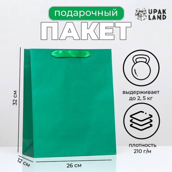 Пакет подарочный «Зелёный»