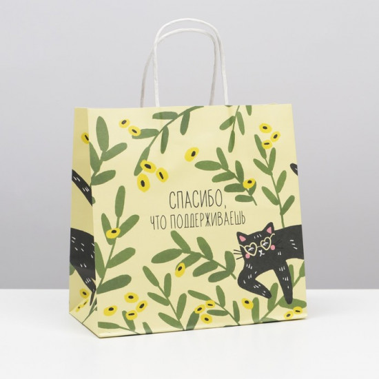 Пакет подарочный