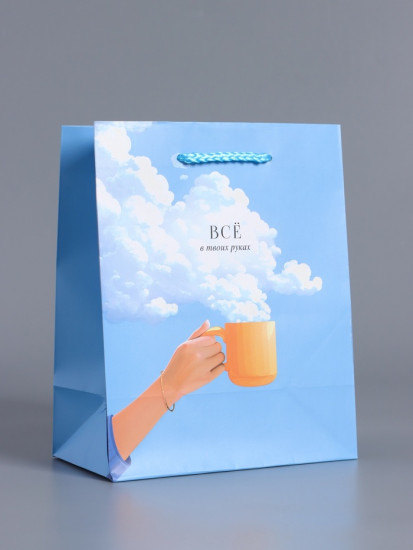Пакет подарочный «Всё в твоих руках»