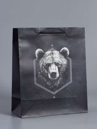 Пакет подарочный «Мужской выбор»