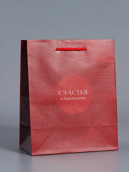 Пакет подарочный «С уважением!»