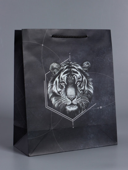 Пакет подарочный «Сила характера»