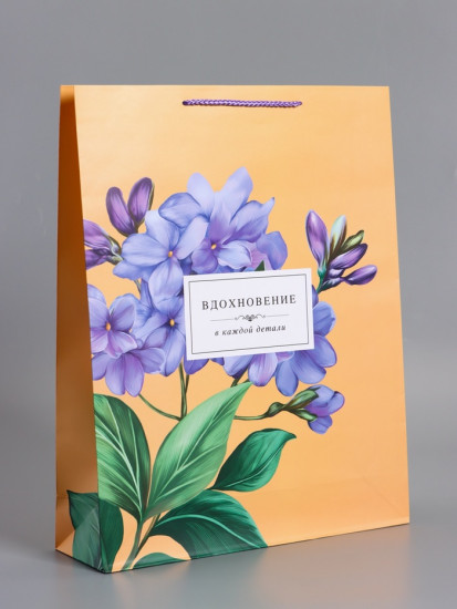 Пакет подарочный «Тонка эстетика»