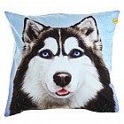 Наволочка декоративная «Хаски» (40х40 см, велюр, полиэстр)