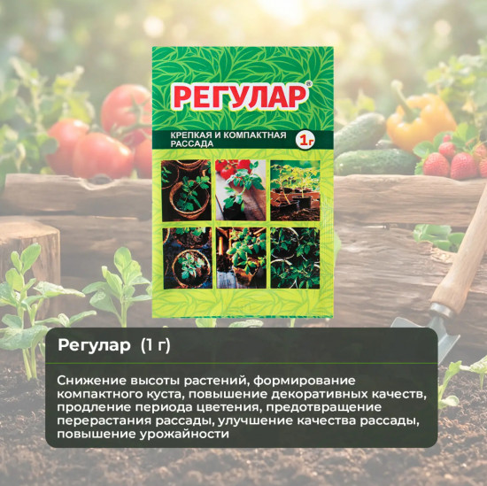 Регулятор роста растений «Регулар»