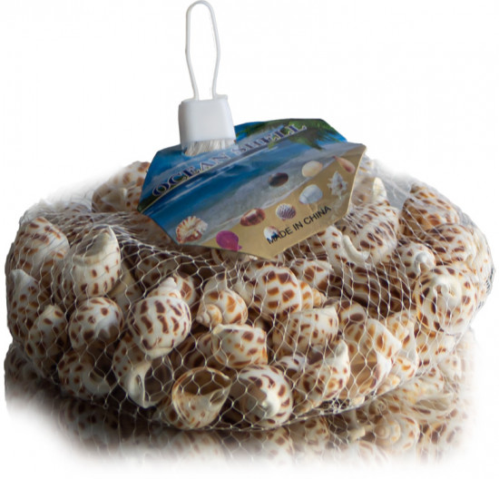 Набор ракушек «Спираль»