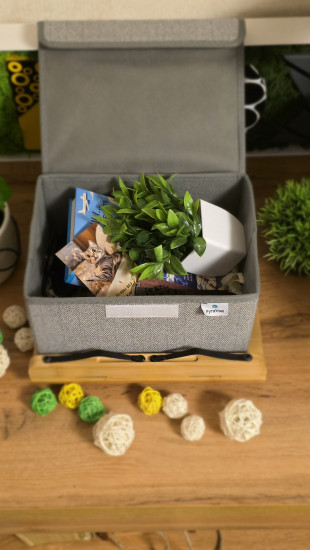 Подарочный набор «BookBoxx»