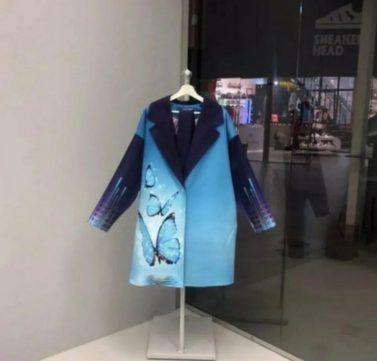 Пальто с дизайнерским 3D-принтом «Butterfly Art»
