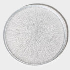 прозрачный