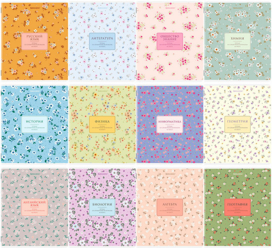 Набор предметных тетрадей