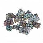 Набор ракушек 100 гр