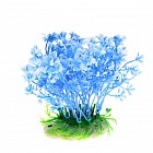 Растение аквариумное, 14 х 8 х 12 см
