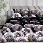 1.5-спальное