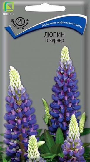 Люпин «Говернёр»