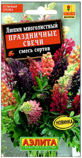 Люпин «Праздничные свечи»