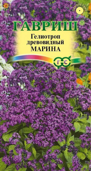 Гелиотроп древовидный «Марина»