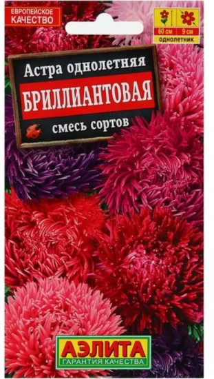 Астра «Бриллиантовая»