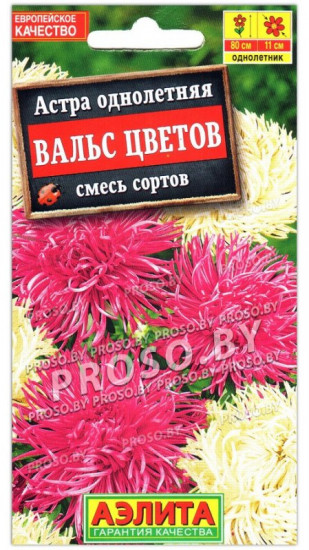 Астра «Вальс цветов»