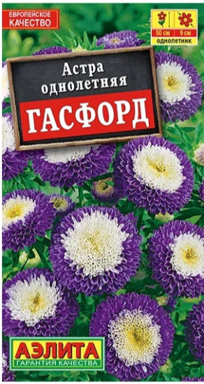 Астра «Гасфорд»