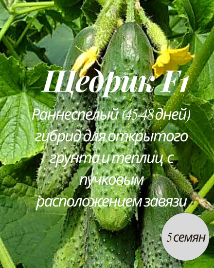 Семена огурца «Щедрик F1»