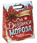 Пакет подарочный «Посылка от деда мороза» (26x32 см)