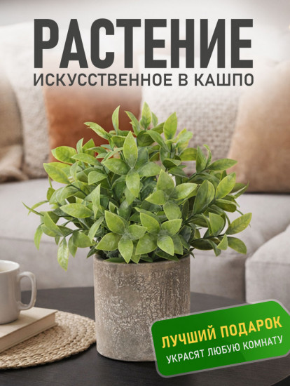 Растение декоративное «Mini Loft»