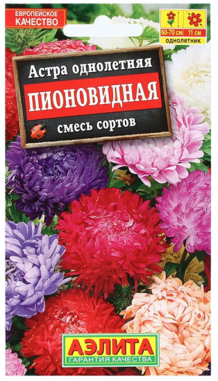 Астра «Пионовидная»