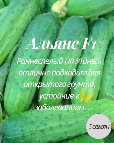 Огурец «Альянс F1»