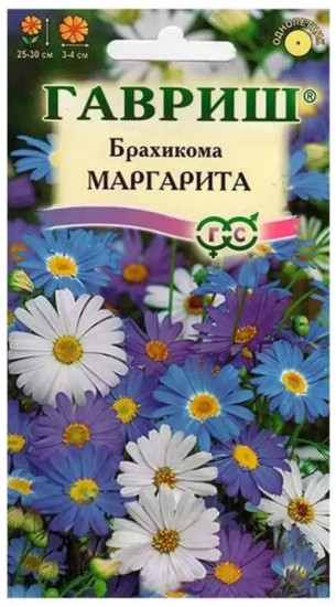Семена брахикомы «Маргарита»