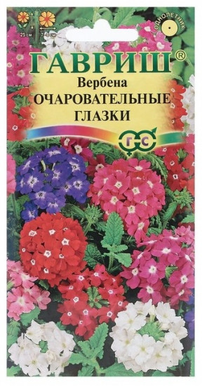 Вербена «Очаровательные глазки»