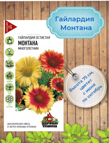 Гайлардия «Монтана смесь»