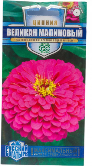 Цинния «Великан малиновый»