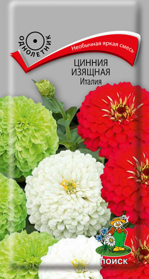 Цинния изящная «Италия»