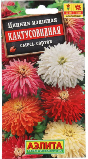 Цинния Кактусовидная