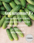 Огурец «Атлантис F1»