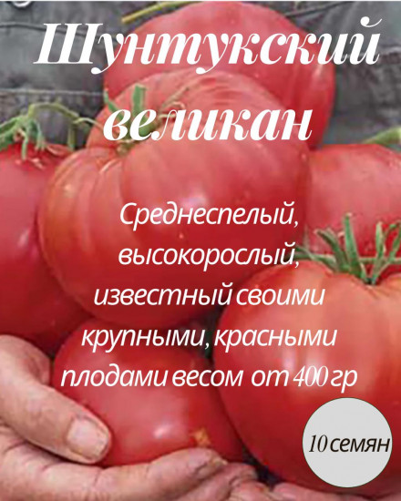 Семена томата коллекционные «Шунтукский великан»