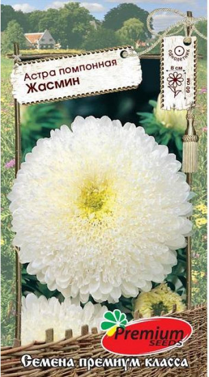 Семена астры помпонной «Жасмин»