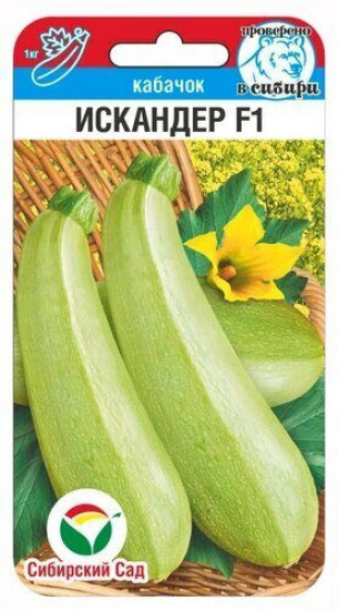 Кабачок «Искандер F1»