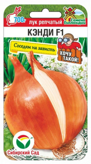 Лук репчатый «Кэнди F1»