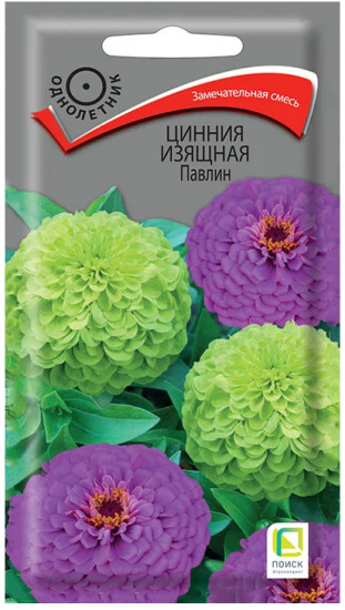 Цинния изящная «Павлин»