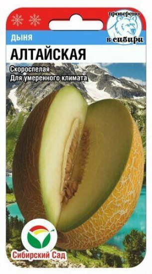 Дыня «Алтайская»