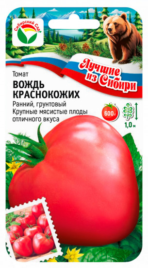 Томат «Вождь Краснокожих»