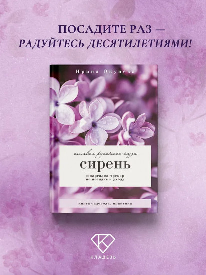 Сирень. Символ русского сада. Шпаргалка-трекер по посадке и уходу