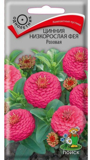 Семена. Цинния низкорослая «Фея Розовая»