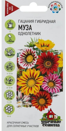 Семена. «Гацания Муза»
