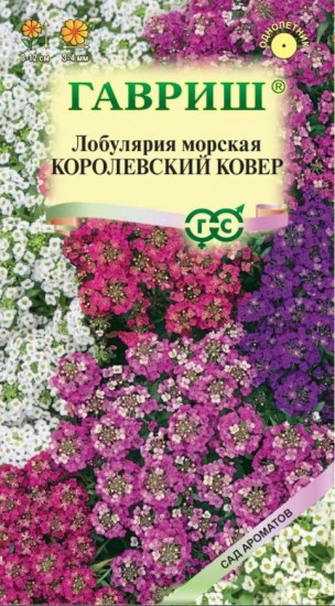 Лобулярия «Королевский ковер»