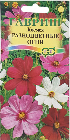 Семена космеи «Разноцветные огни»