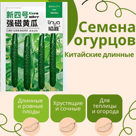 Семена. Китайские огурцы