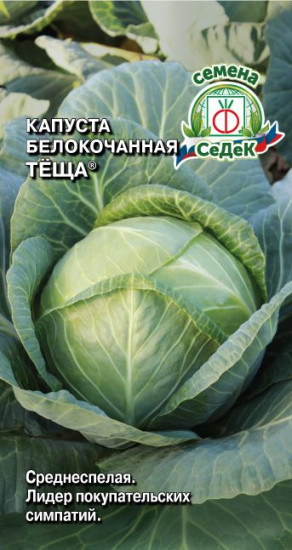 Семена капусты белокочанной «Тёща»