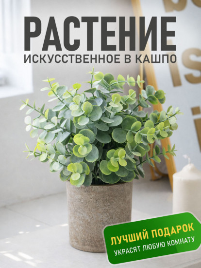 Цветок эвкалипт «Green Loft»